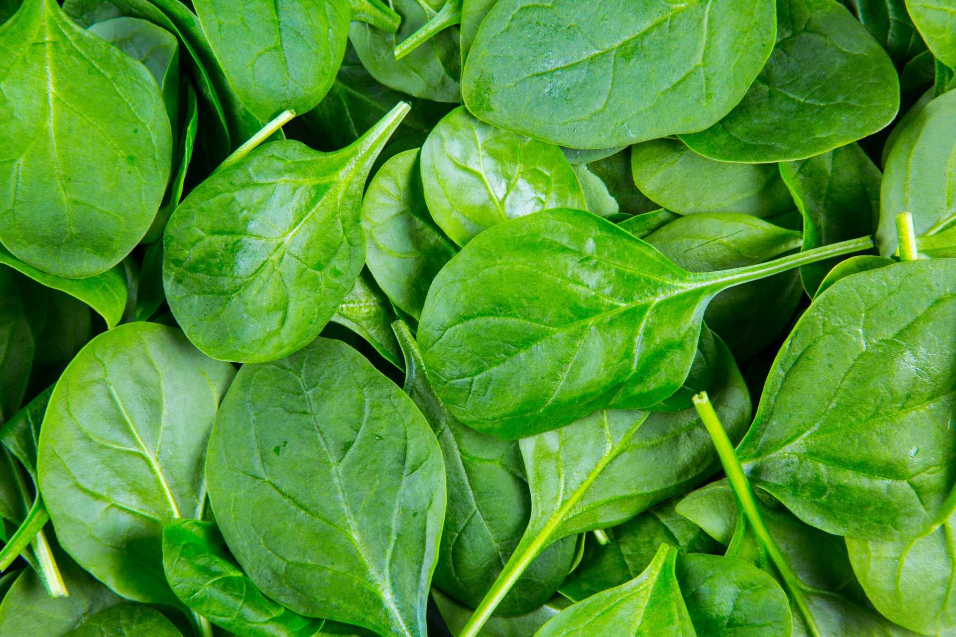 Spinach: Foods That Can Help Prevent Heart Disease