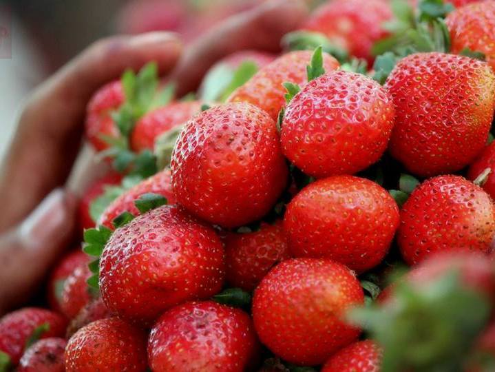 Strawberries: Foods That Can Help Prevent Heart Disease