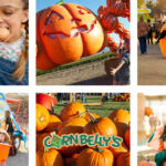 Cornbelly's