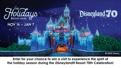 Disneyland Holiday...